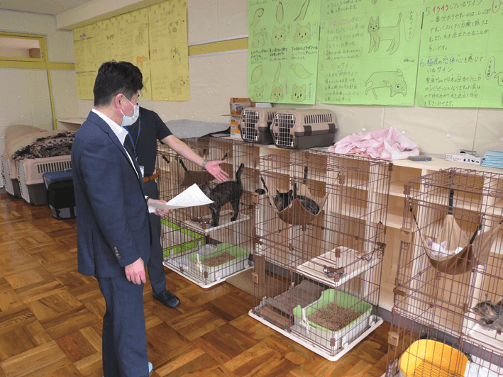 水戸市長高橋やすしが動物たちを見ている写真